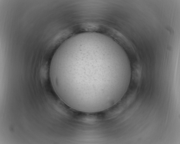 X0000114220604200910231444