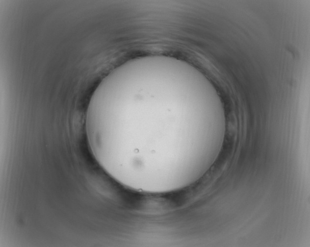 X0000114220605200910231444