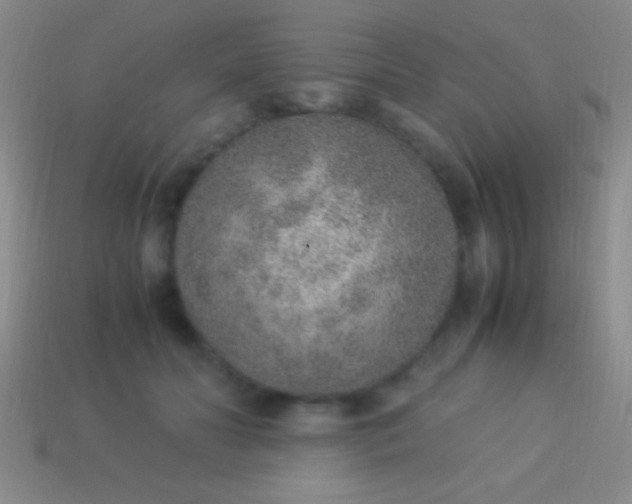 X0000114220606200910231444