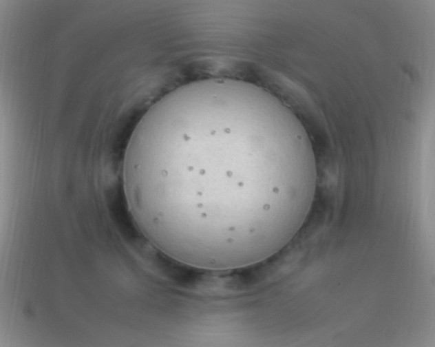 X0000114220607200910231444