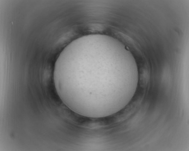 X0000114220608200910231444