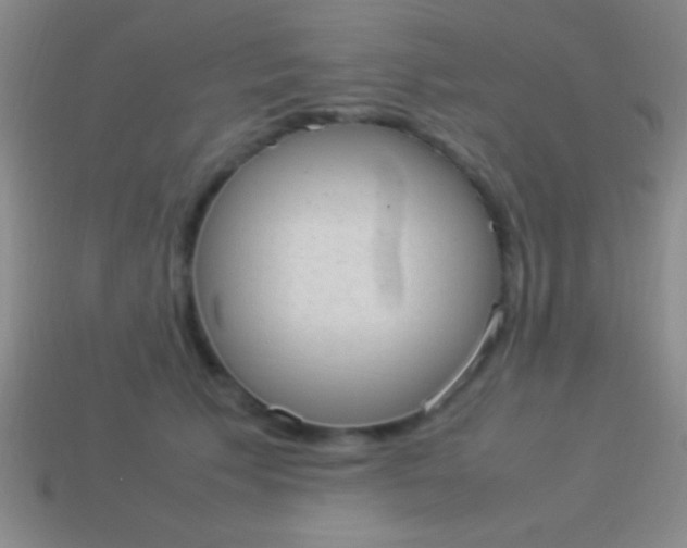 X0000114220609200910231444