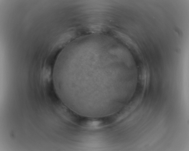 X0000114220610200910231444