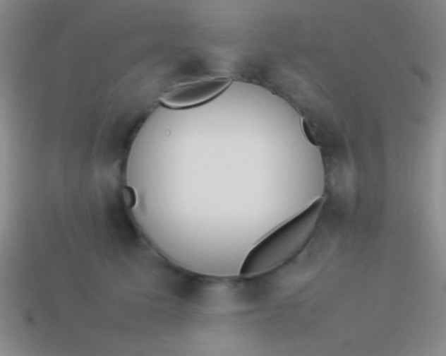 X0000114220611200910231444