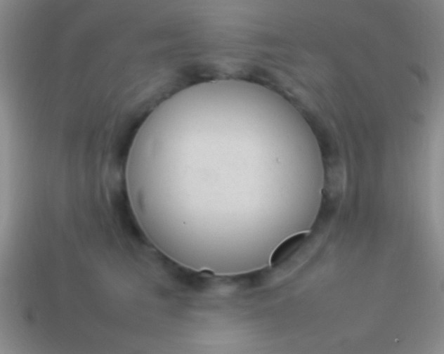 X0000114220613200910231444