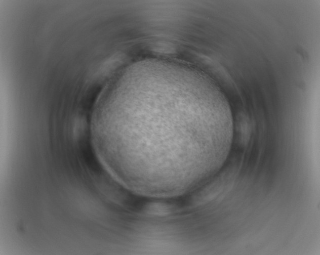 X0000114220614200910231444