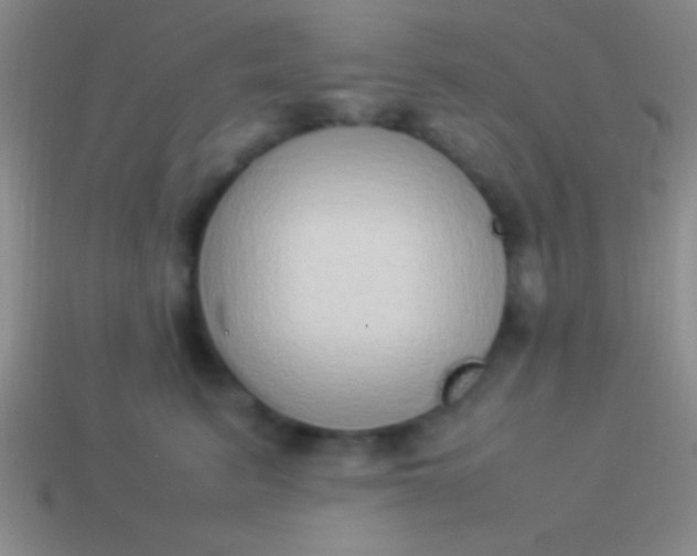 X0000114220615200910231444