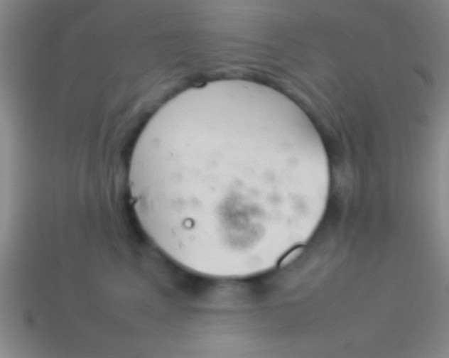 X0000114220617200910231444