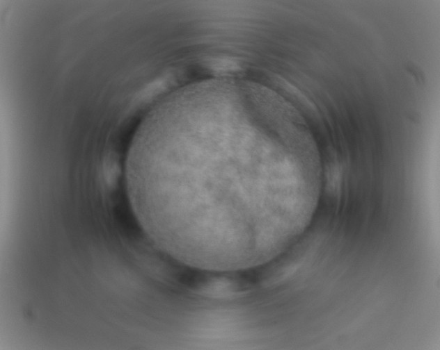 X0000114220618200910231444