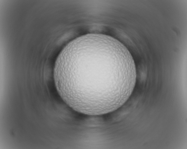 X0000114220619200910231444