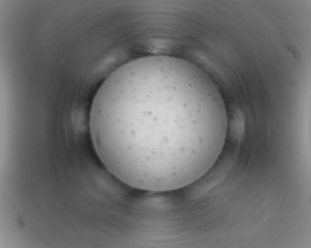 X0000114220620200910231444