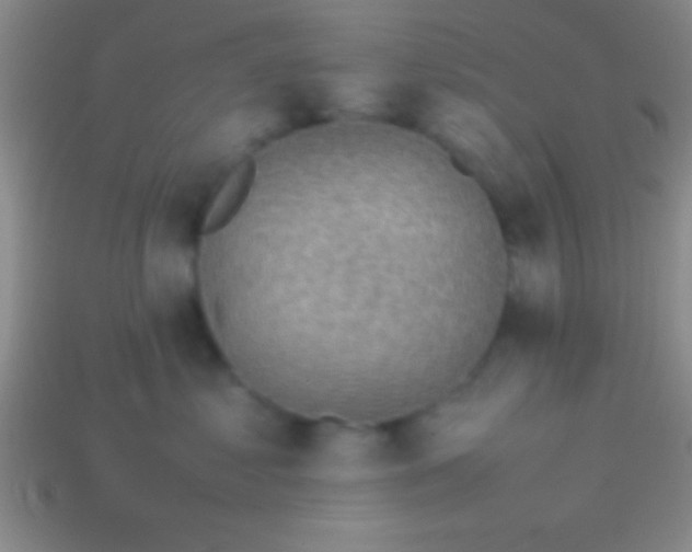 X0000114220621200910231444