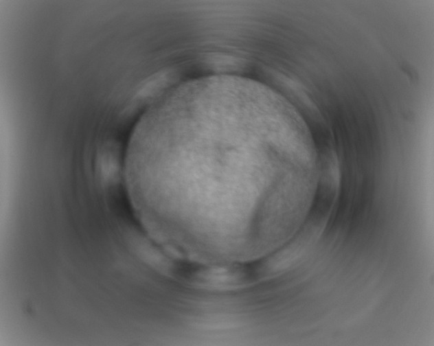 X0000114220622200910231444