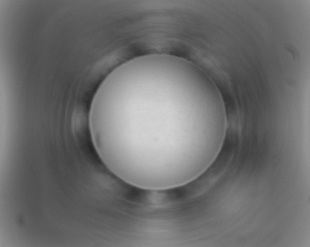 X0000114220623200910231444