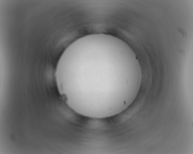 X0000114220624200910231444