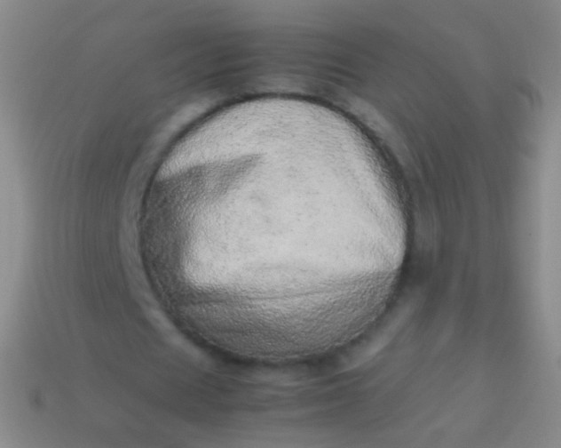 X0000114220625200910231443