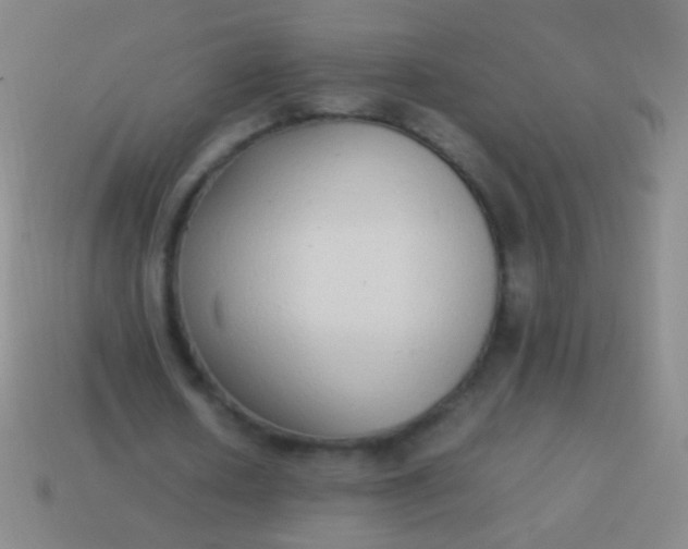 X0000114220626200910231443