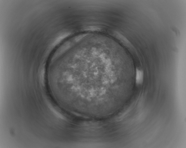 X0000114220627200910231443