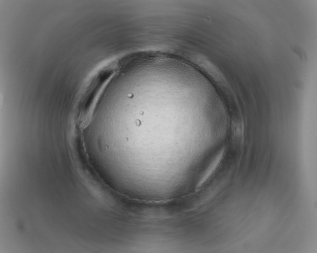 X0000114220628200910231443