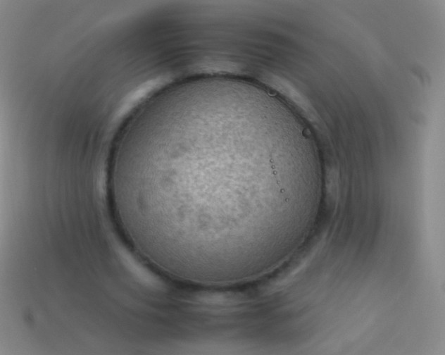 X0000114220629200910231444