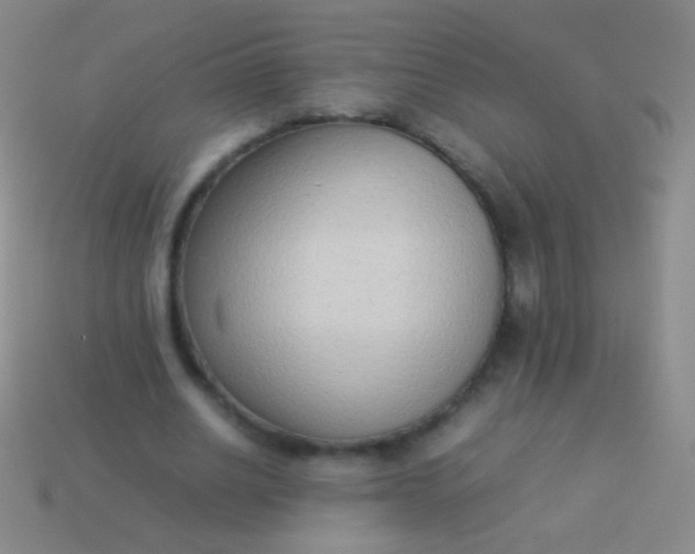 X0000114220630200910231444