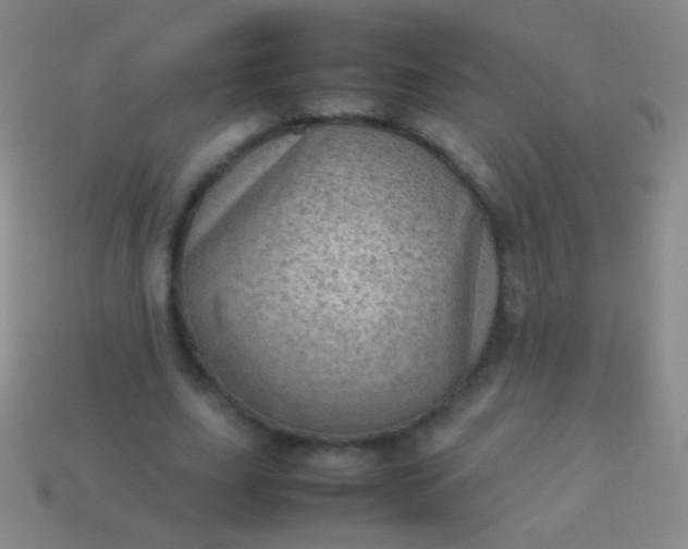 X0000114220631200910231444