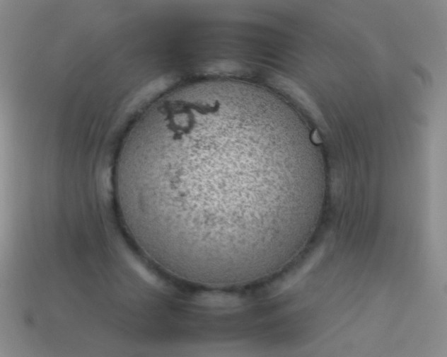 X0000114220633200910231444