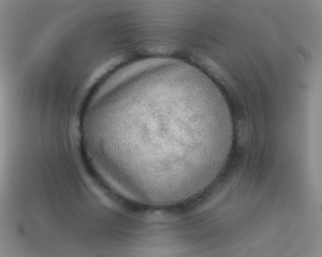 X0000114220634200910231444