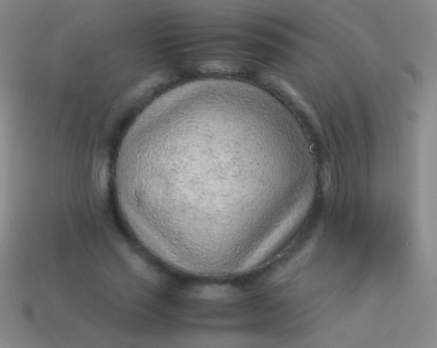 X0000114220637200910231444