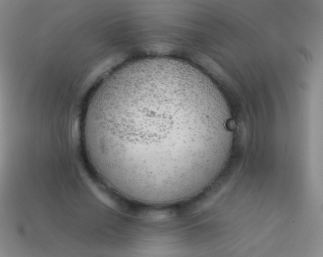 X0000114220638200910231444