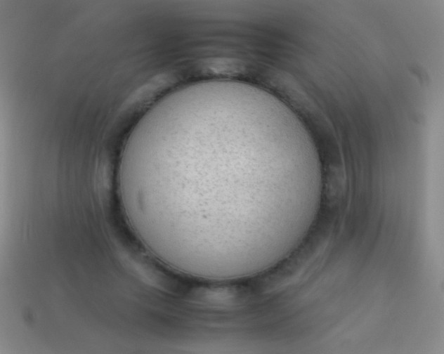 X0000114220639200910231444