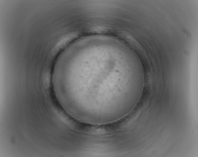 X0000114220640200910231444