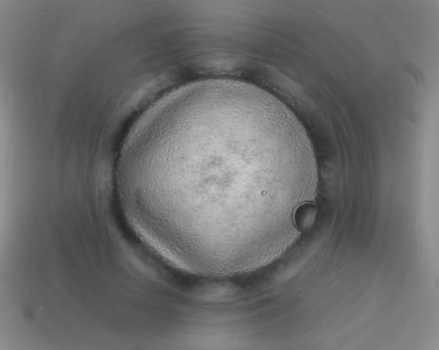 X0000114220642200910231444