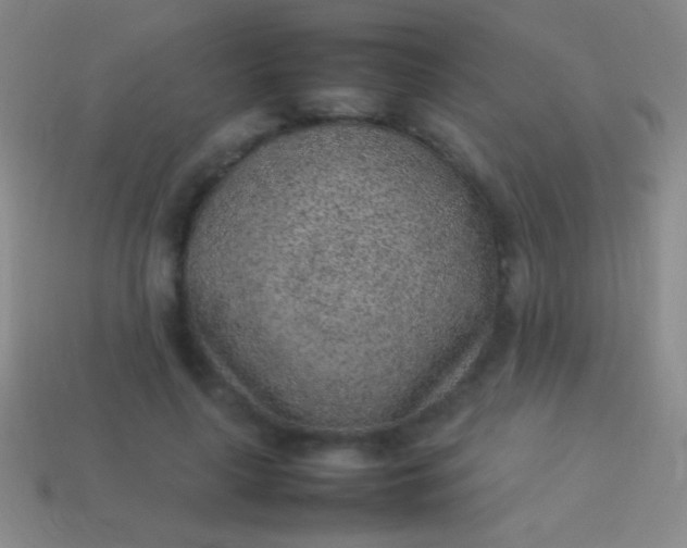 X0000114220643200910231444