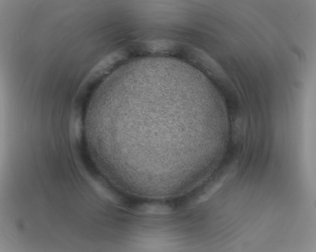 X0000114220644200910231444