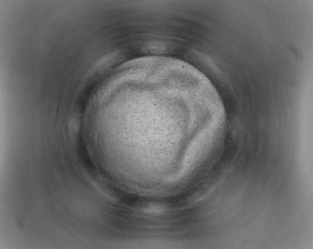 X0000114220645200910231444