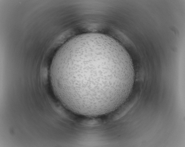 X0000114220646200910231444