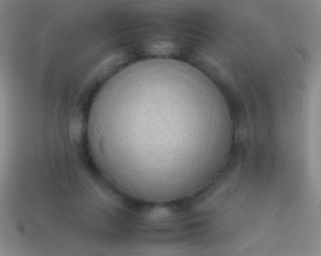 X0000114220647200910231444