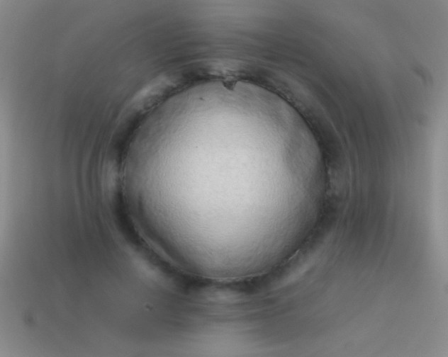 X0000114220648200910231444