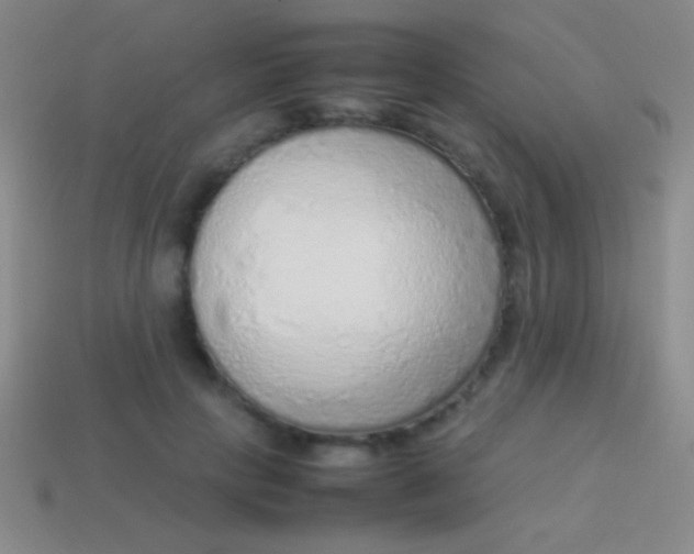 X0000114220649200910231444