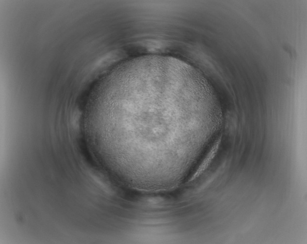 X0000114220650200910231444