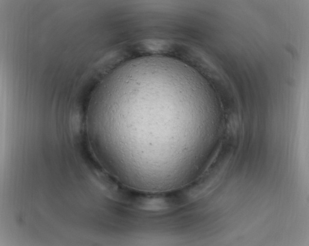 X0000114220651200910231444