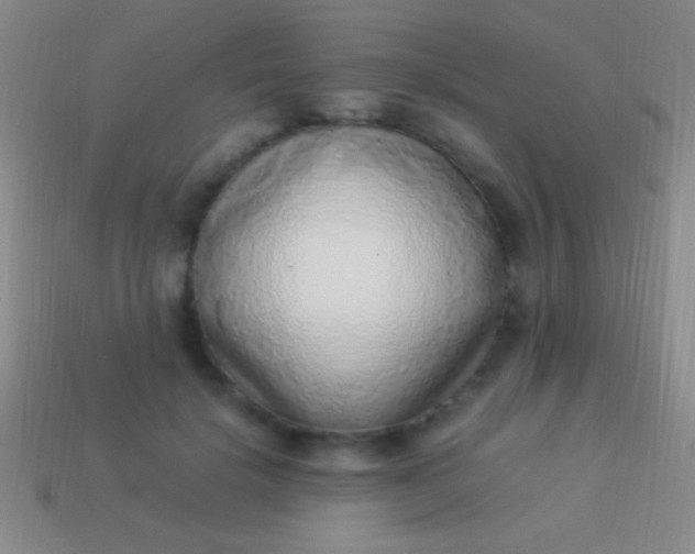 X0000114220652200910231444