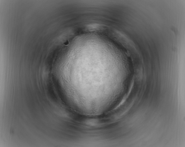 X0000114220653200910231444