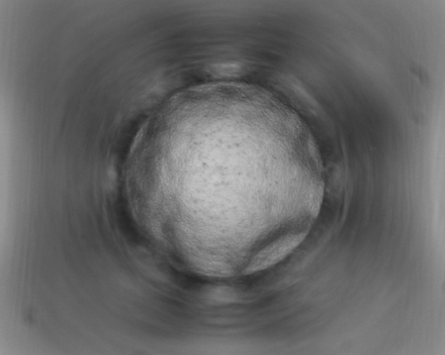 X0000114220655200910231444