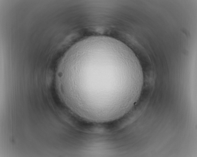 X0000114220656200910231444