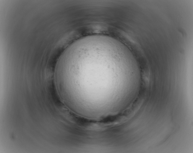 X0000114220657200910231444