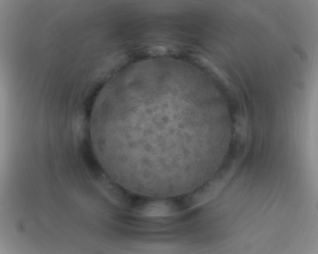 X0000114220659200910231444