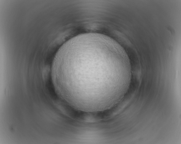 X0000114220660200910231444