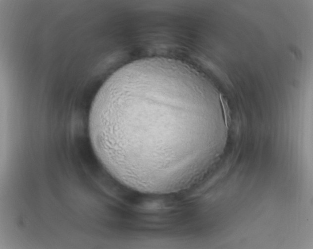 X0000114220661200910231444